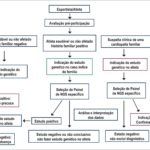 Figura 3
