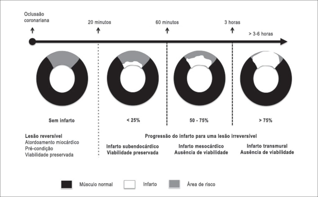 Figura 1