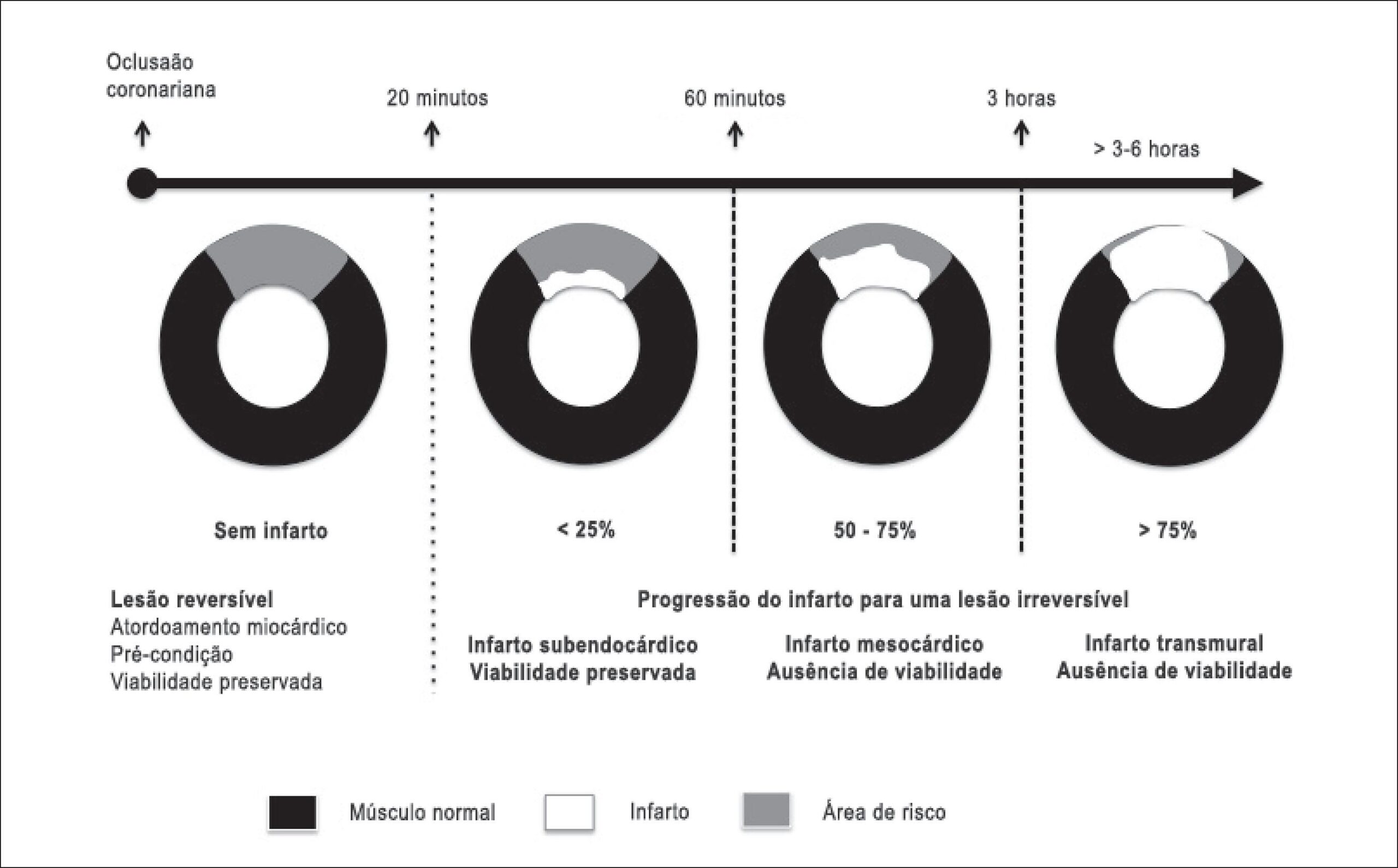 Figura 1