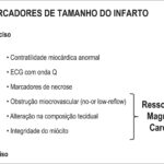 Figura 2