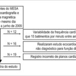 Figura 1