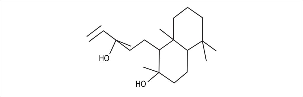 Figura 1