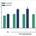 Figura 2