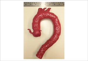 Figura 1