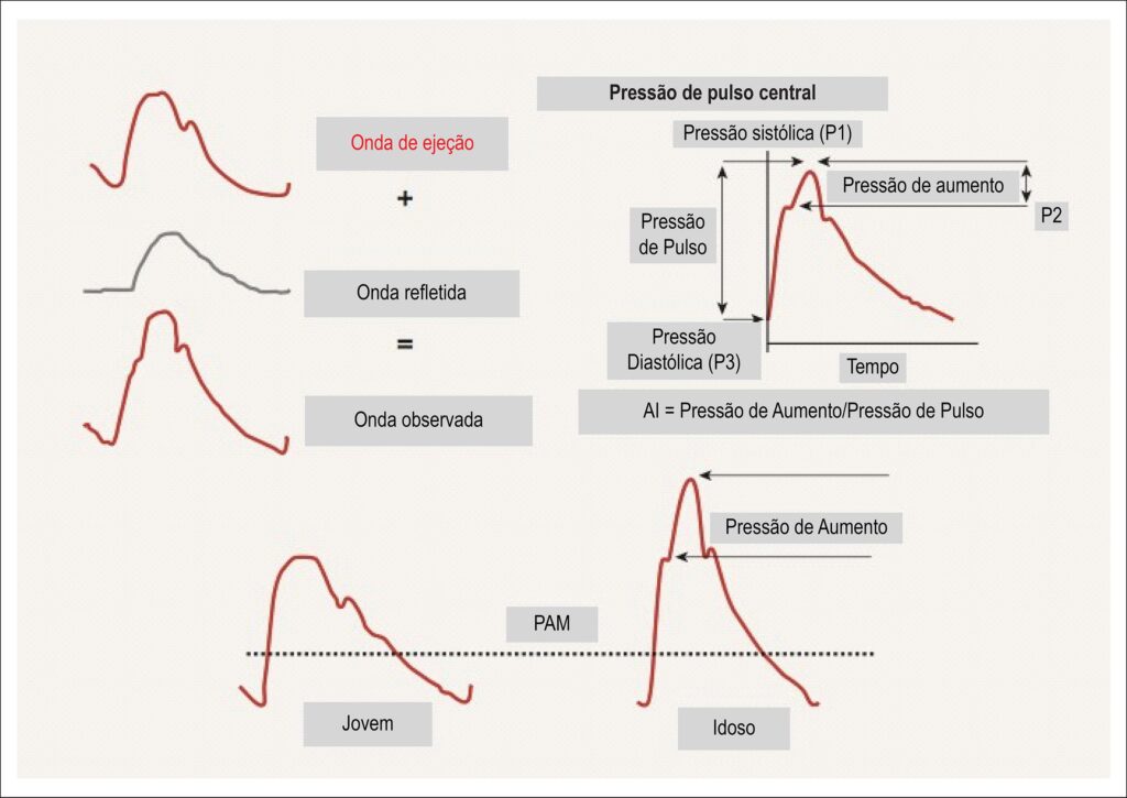 Figura 2