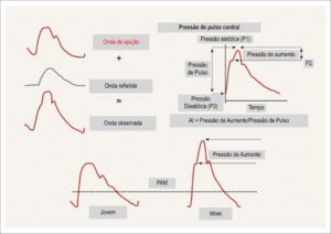 Figura 2