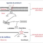 Figura 1