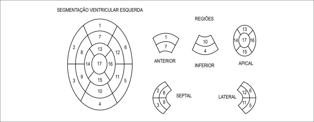 Figura 1