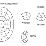 Figura 1