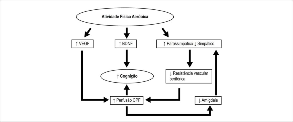 Figura 1