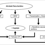 Figura 1