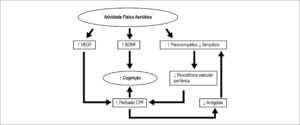 Figura 1