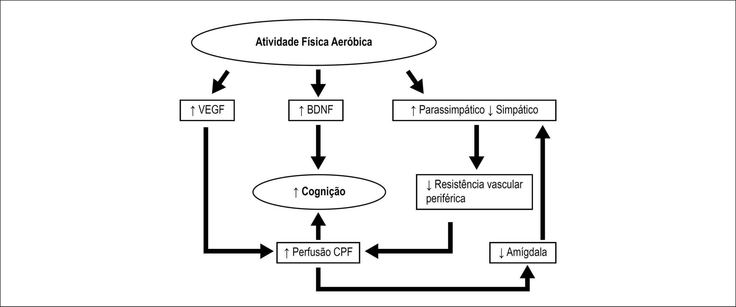 Figura 1