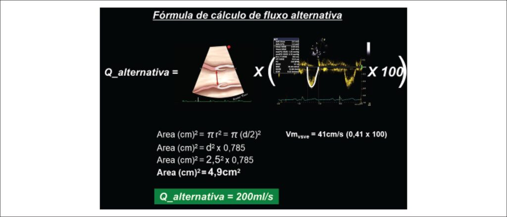 Figura 1