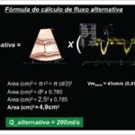 Figura 1