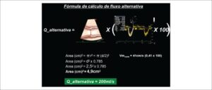 Figura 1