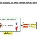 Figura 2