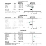 Figura 2
