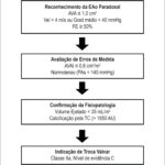 Figura 1