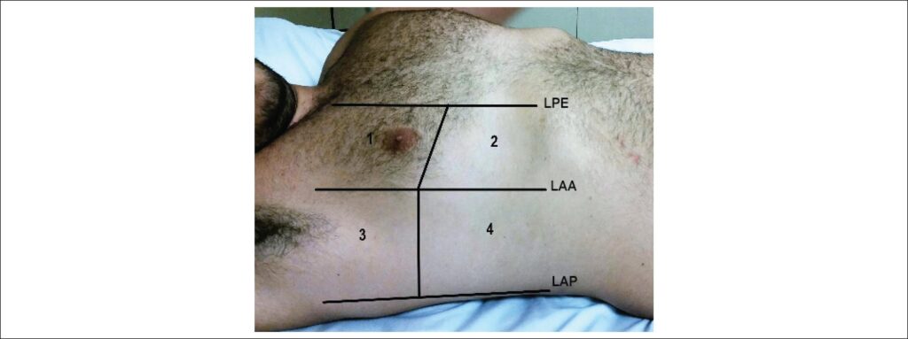 Figura 2