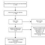 Figura 1
