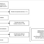 Figura 1