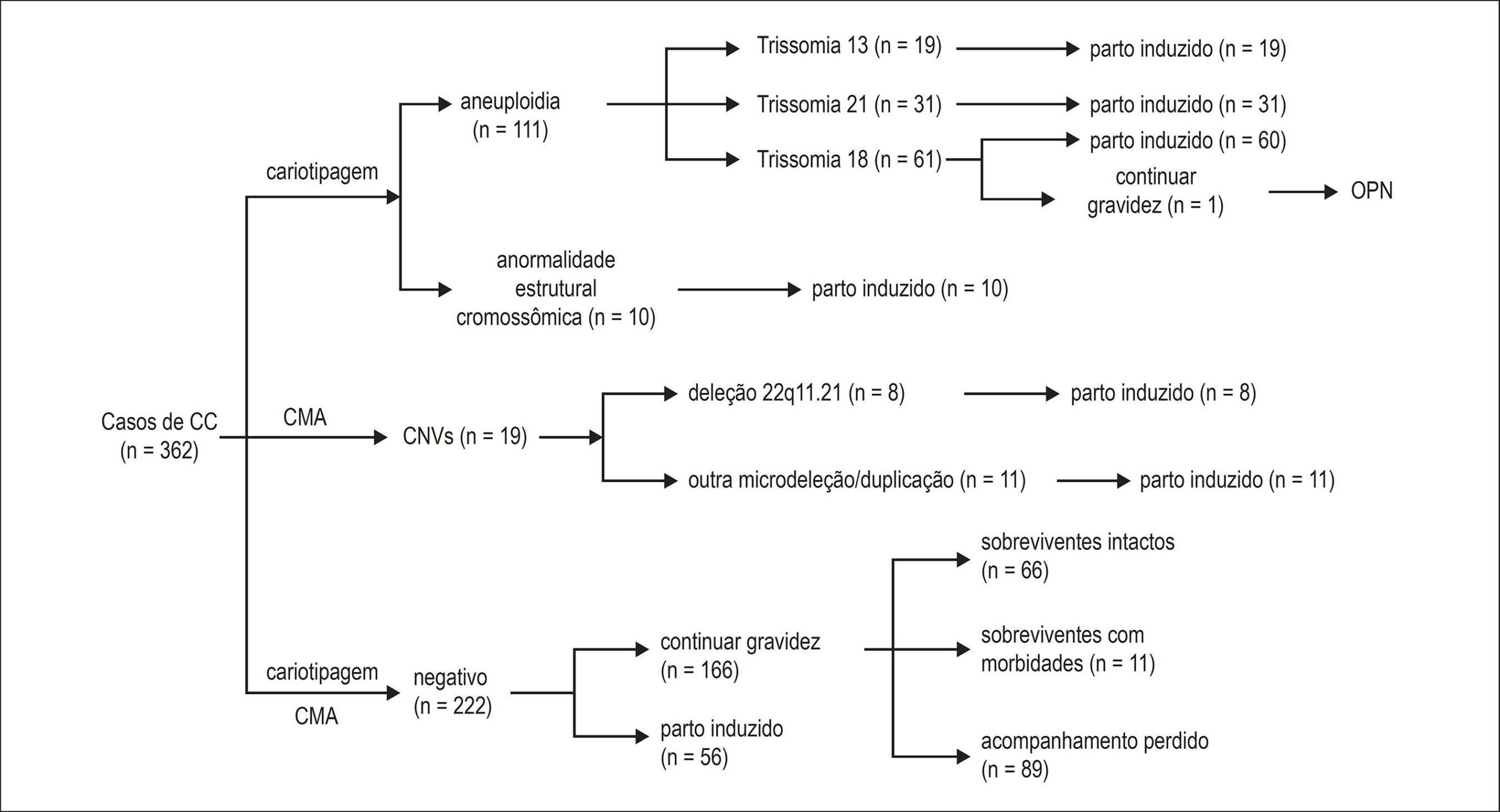 Figura 1