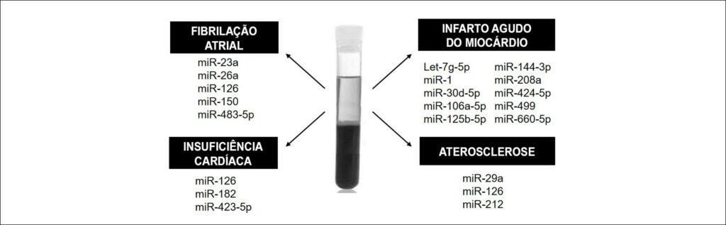 Figura 2
