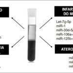 Figura 2