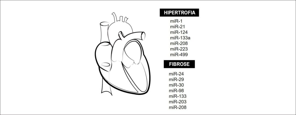 Figura 3