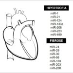 Figura 3
