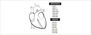 Figura 3