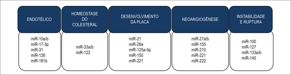 Figura 4