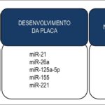 Figura 4