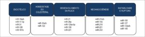 Figura 4