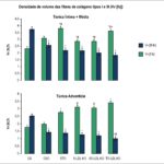 Figura 3