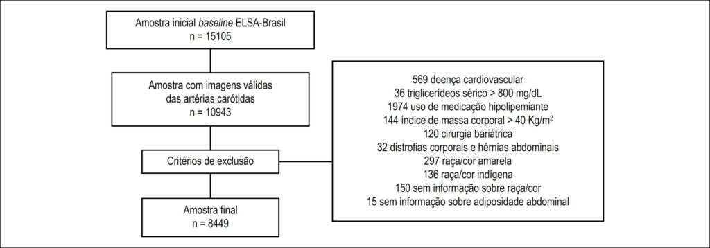 Figura 1
