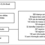 Figura 1