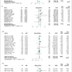 Figura 3