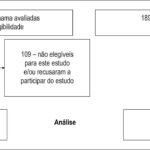 Figura 1
