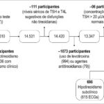 Figura 1