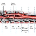 Figura 2