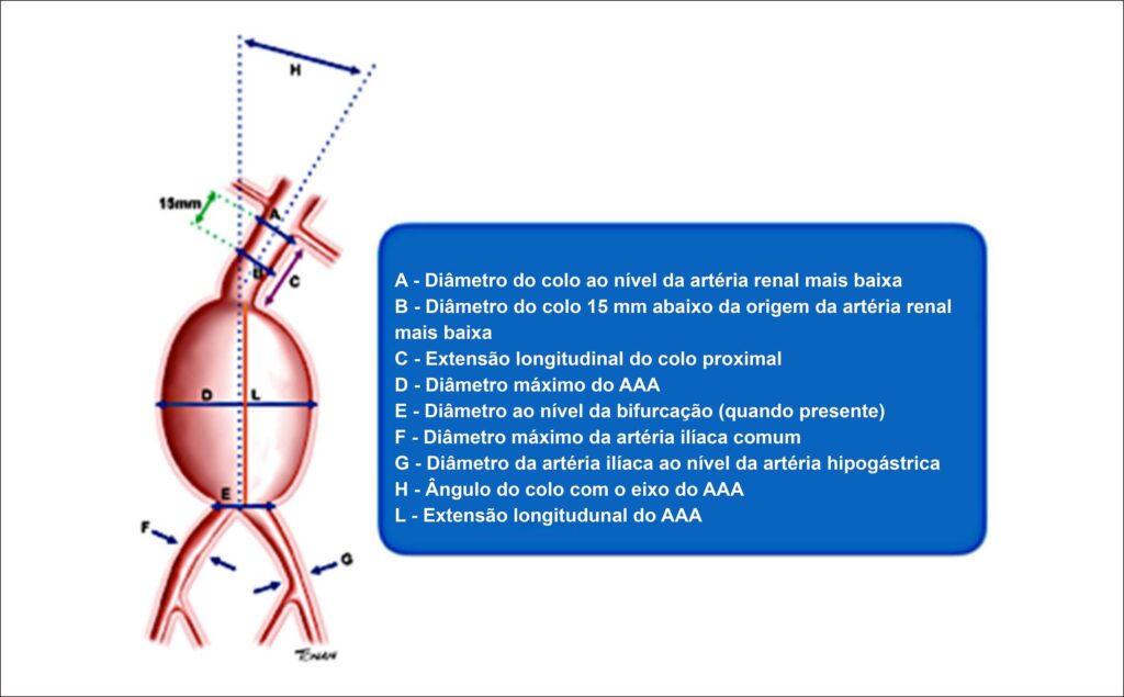 Figura 8