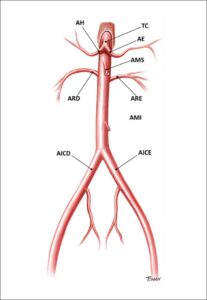 Figura 10