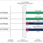 Figura 1