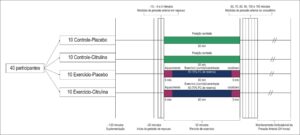 Figura 1