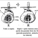 Figura 2