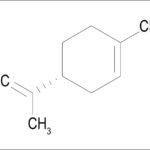 Figura 1