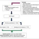 Figura 2