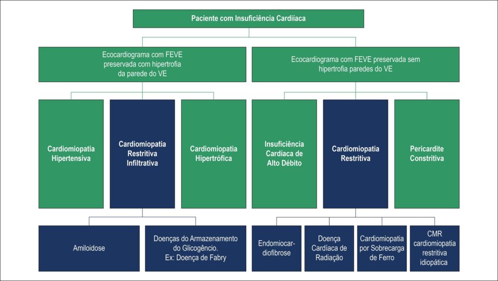 Figura 1
